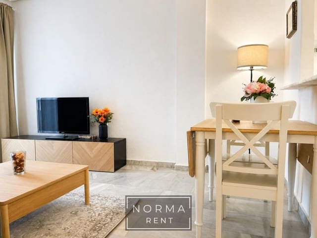 1 Zimmer Apartment zu vermieten in El Molino, Torrevieja - 700 € (Ref: 9813846)