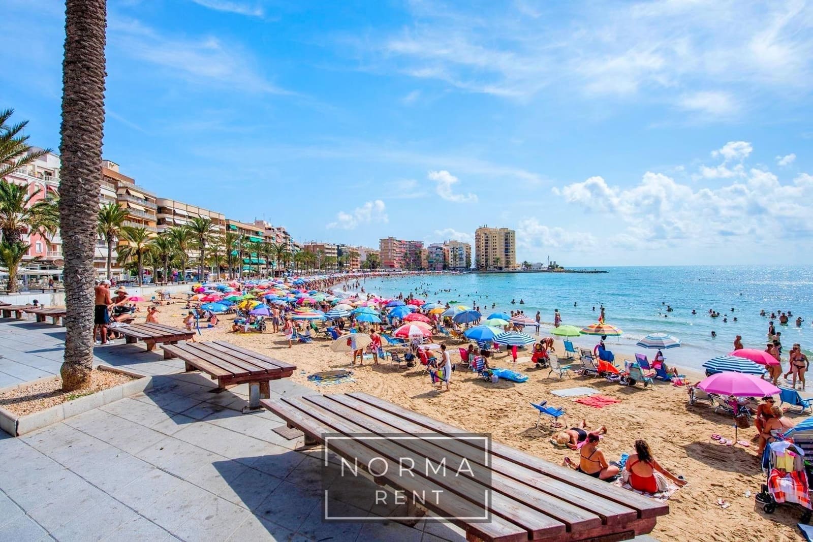 1 Zimmer Apartment zu vermieten in Torrevieja - 700 € (Ref: 9813846)