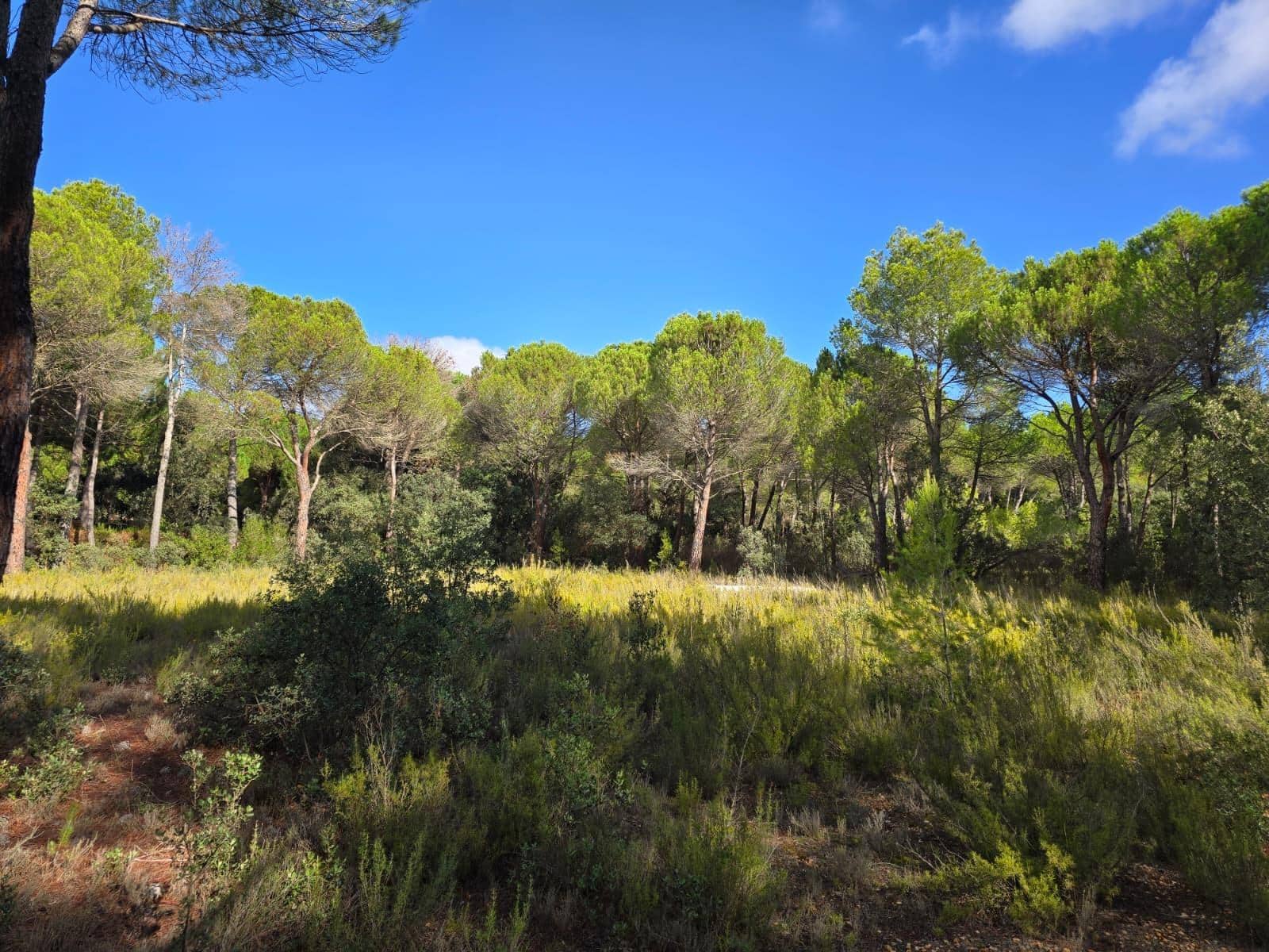 Building Plot for sale in Albacete city - € 200,000 (Ref: 9723620)