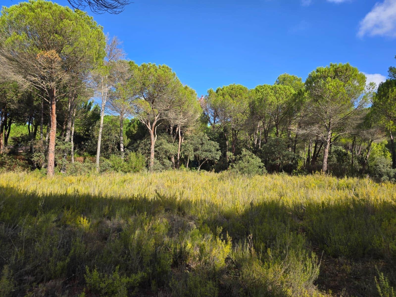 Building Plot for sale in Albacete city - € 200,000 (Ref: 9723620)