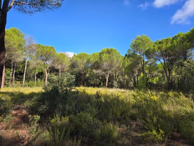 Building Plot for sale in Albacete city - € 200,000 (Ref: 9723620)