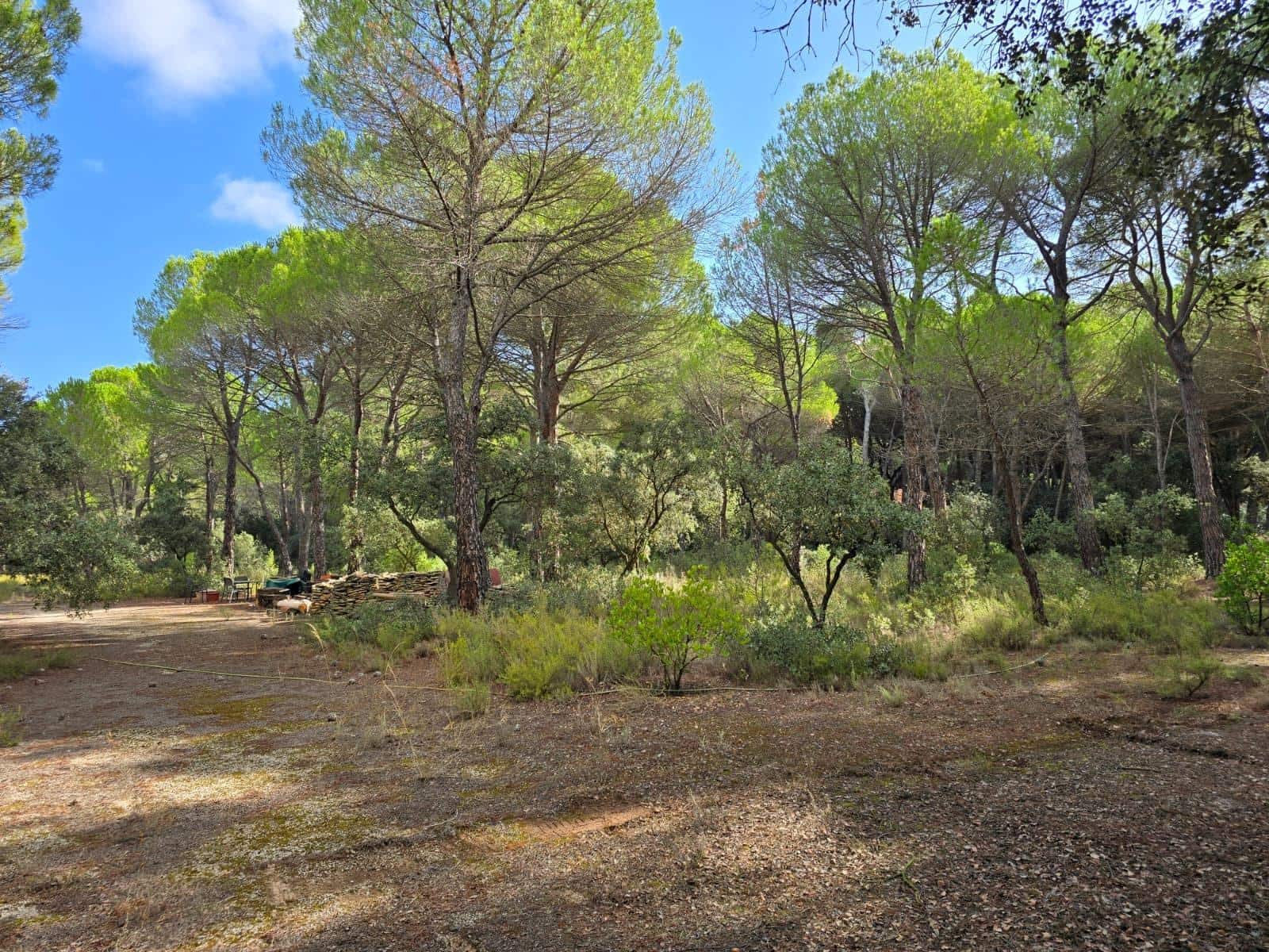Building Plot for sale in Albacete city - € 200,000 (Ref: 9723620)
