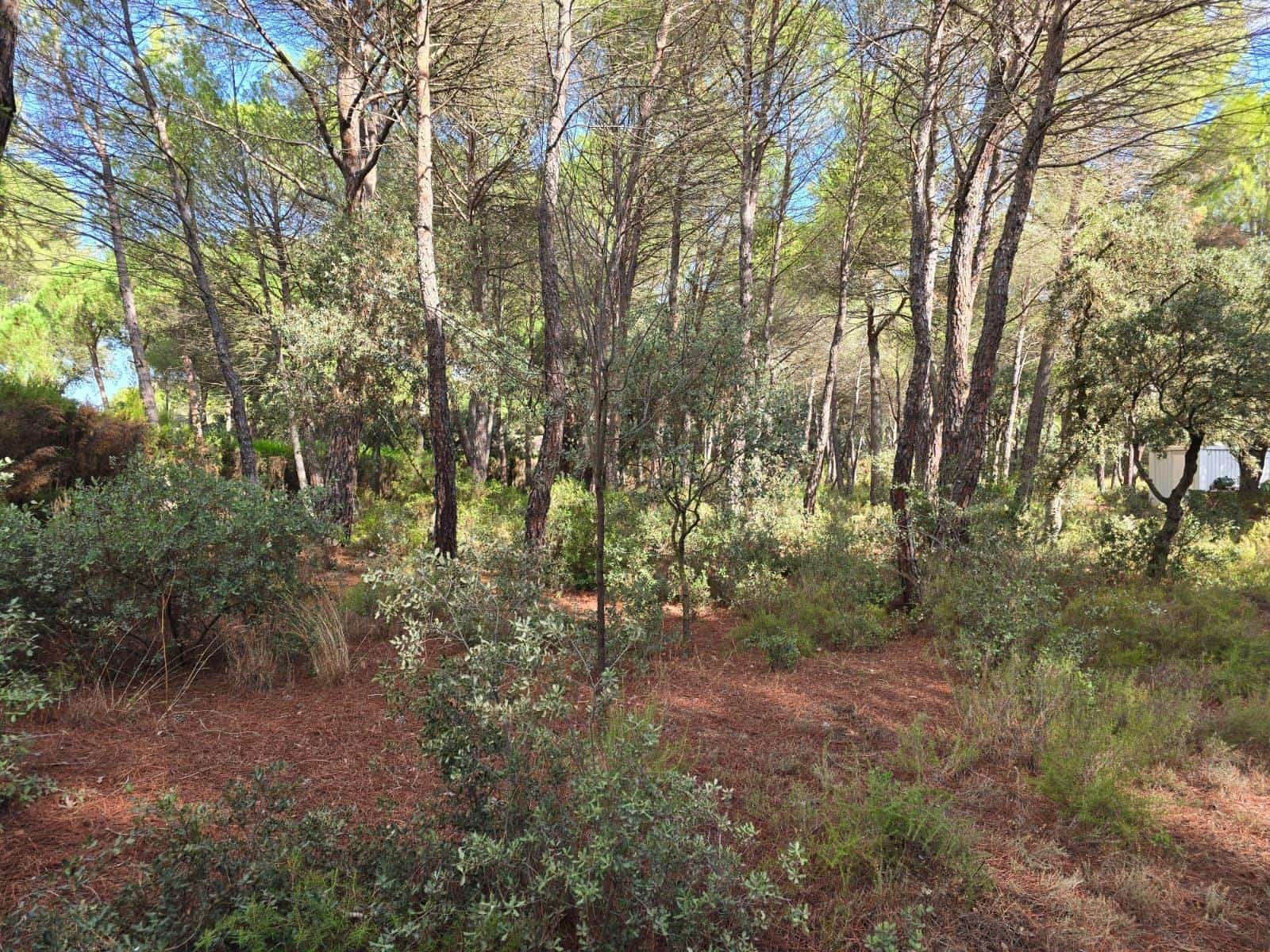 Building Plot for sale in Albacete city - € 200,000 (Ref: 9723620)
