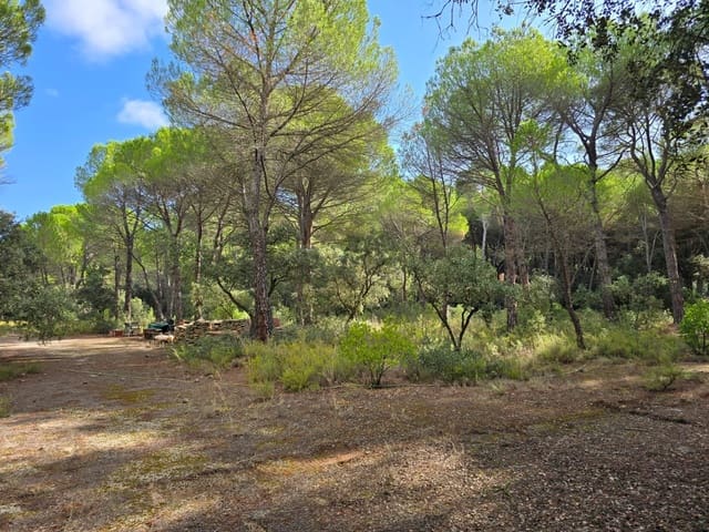 Building Plot for sale in Albacete city - € 200,000 (Ref: 9723620)