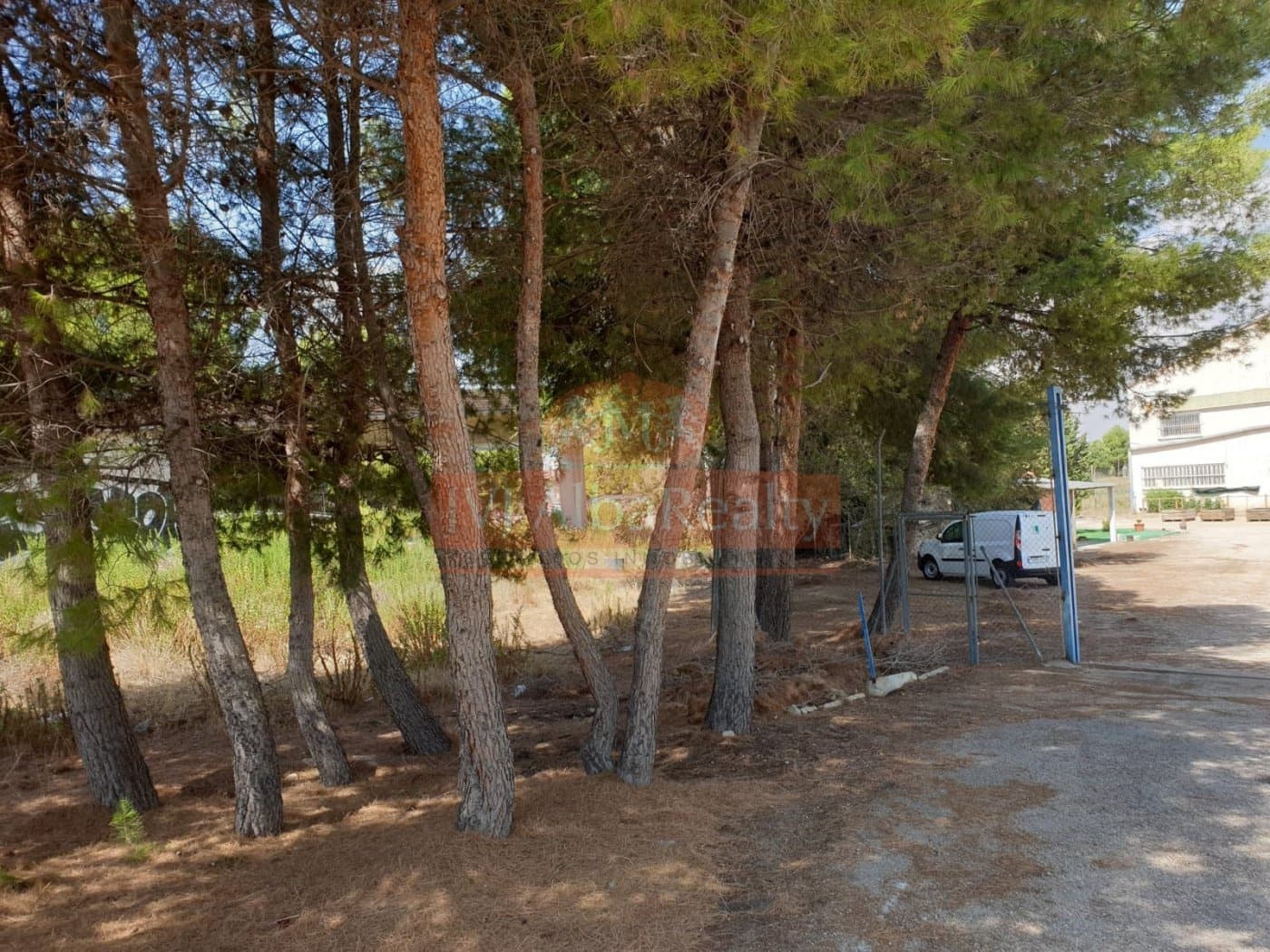 Business for sale in Albacete city - € 300,000 (Ref: 9723626)