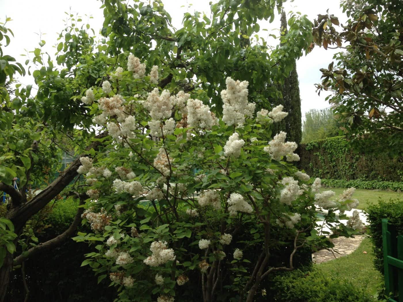 Building Plot for sale in Albacete city - € 990,000 (Ref: 9723629)