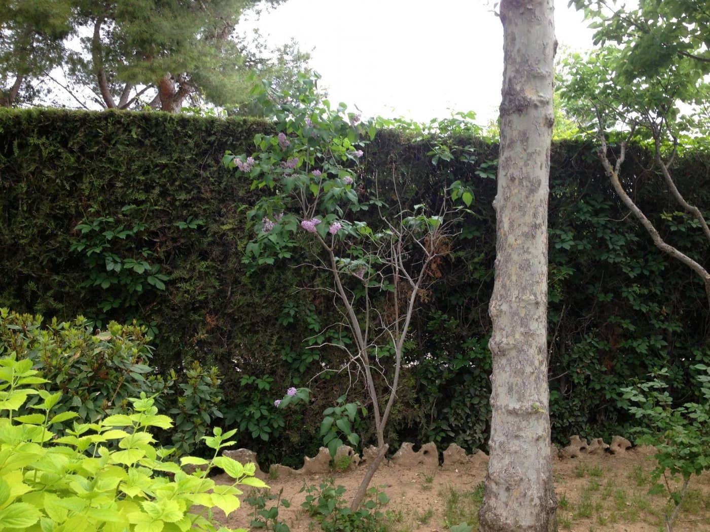 Building Plot for sale in Albacete city - € 990,000 (Ref: 9723629)