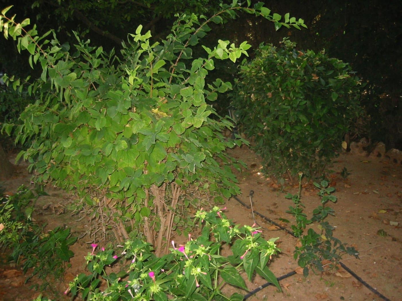 Building Plot for sale in Albacete city - € 990,000 (Ref: 9723629)