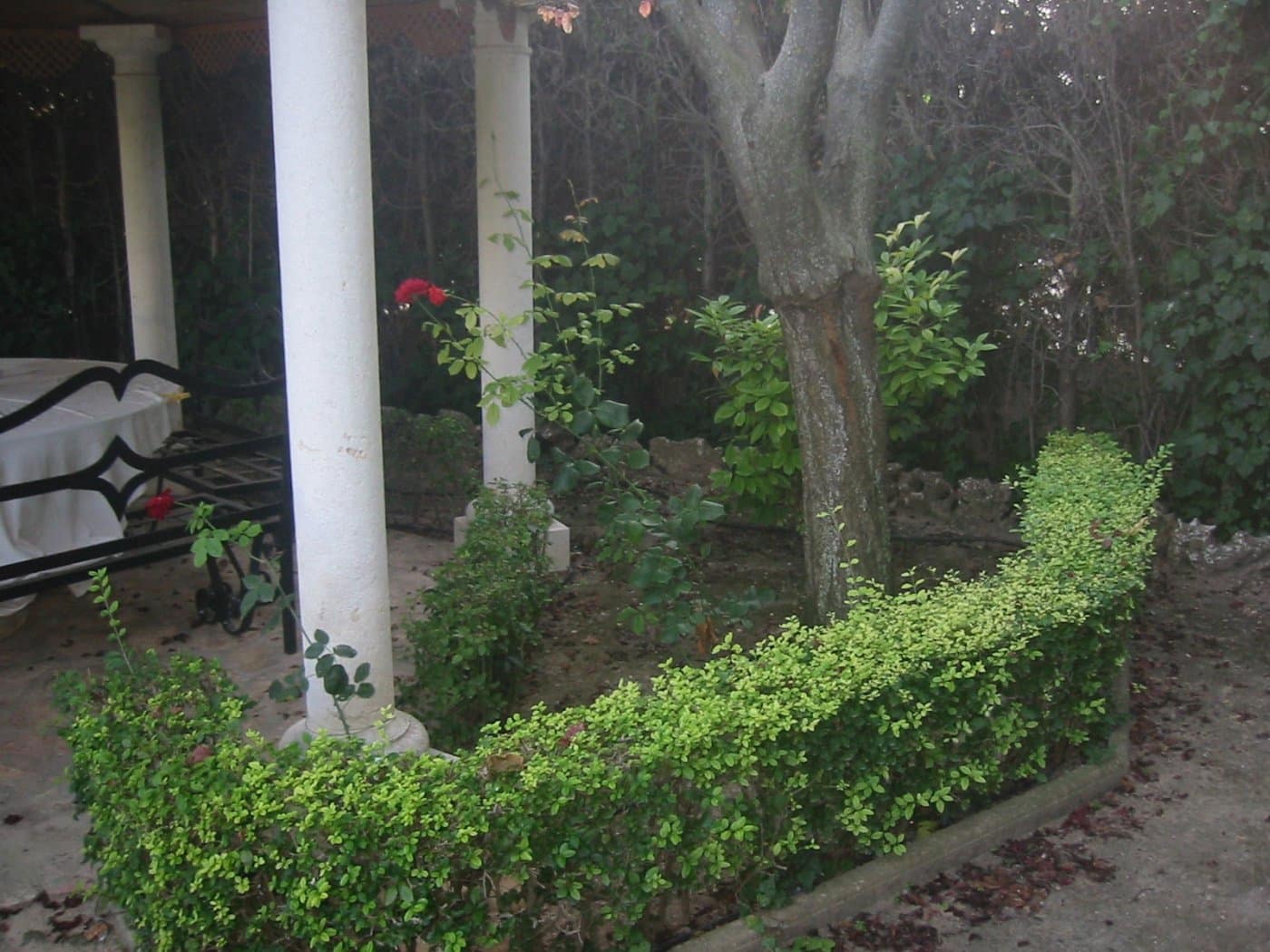 Building Plot for sale in Albacete city - € 990,000 (Ref: 9723629)