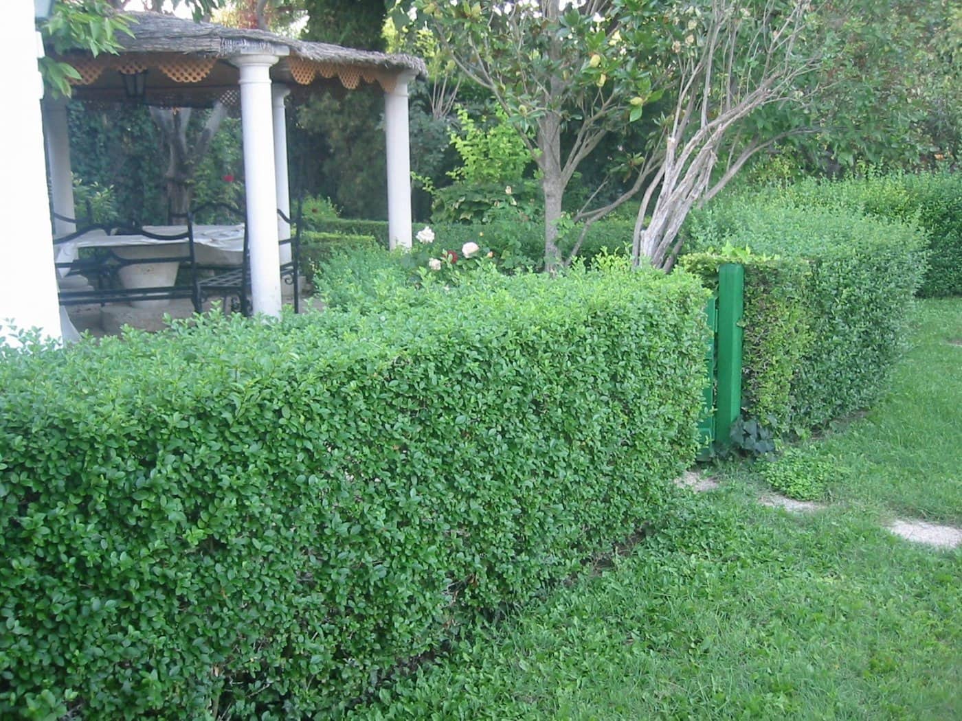 Building Plot for sale in Albacete city - € 990,000 (Ref: 9723629)