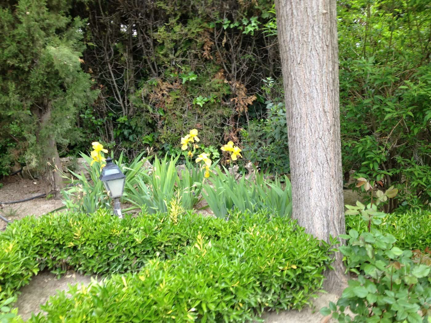 Building Plot for sale in Albacete city - € 990,000 (Ref: 9723629)