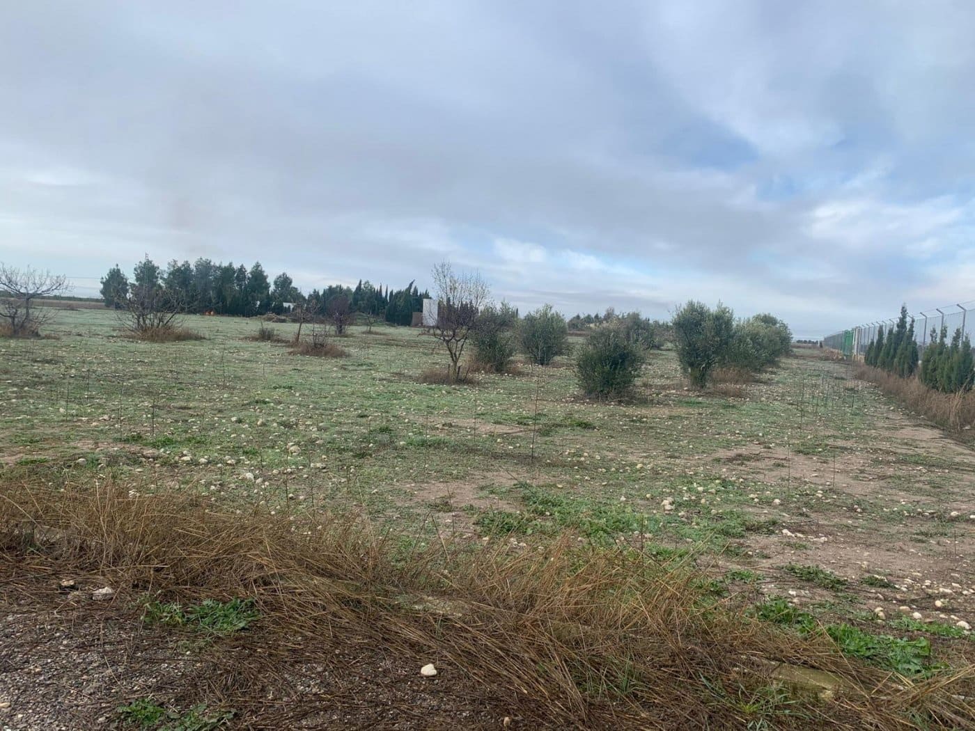 Undeveloped Land for sale in Albacete city - € 545,000 (Ref: 9723634)