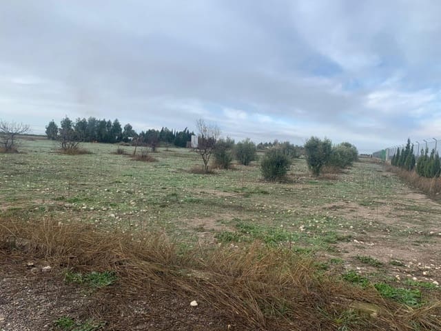 Undeveloped Land for sale in Albacete city - € 545,000 (Ref: 9723634)