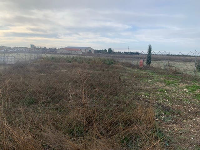 Undeveloped Land for sale in Albacete city - € 545,000 (Ref: 9723634)