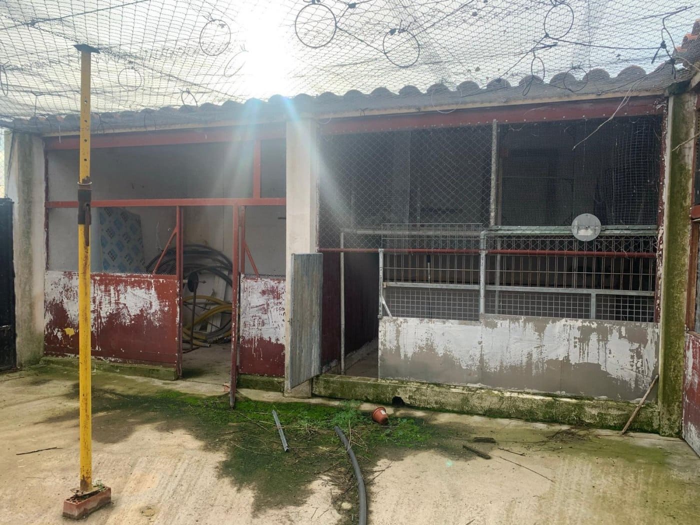 Undeveloped Land for sale in Albacete city - € 545,000 (Ref: 9723634)