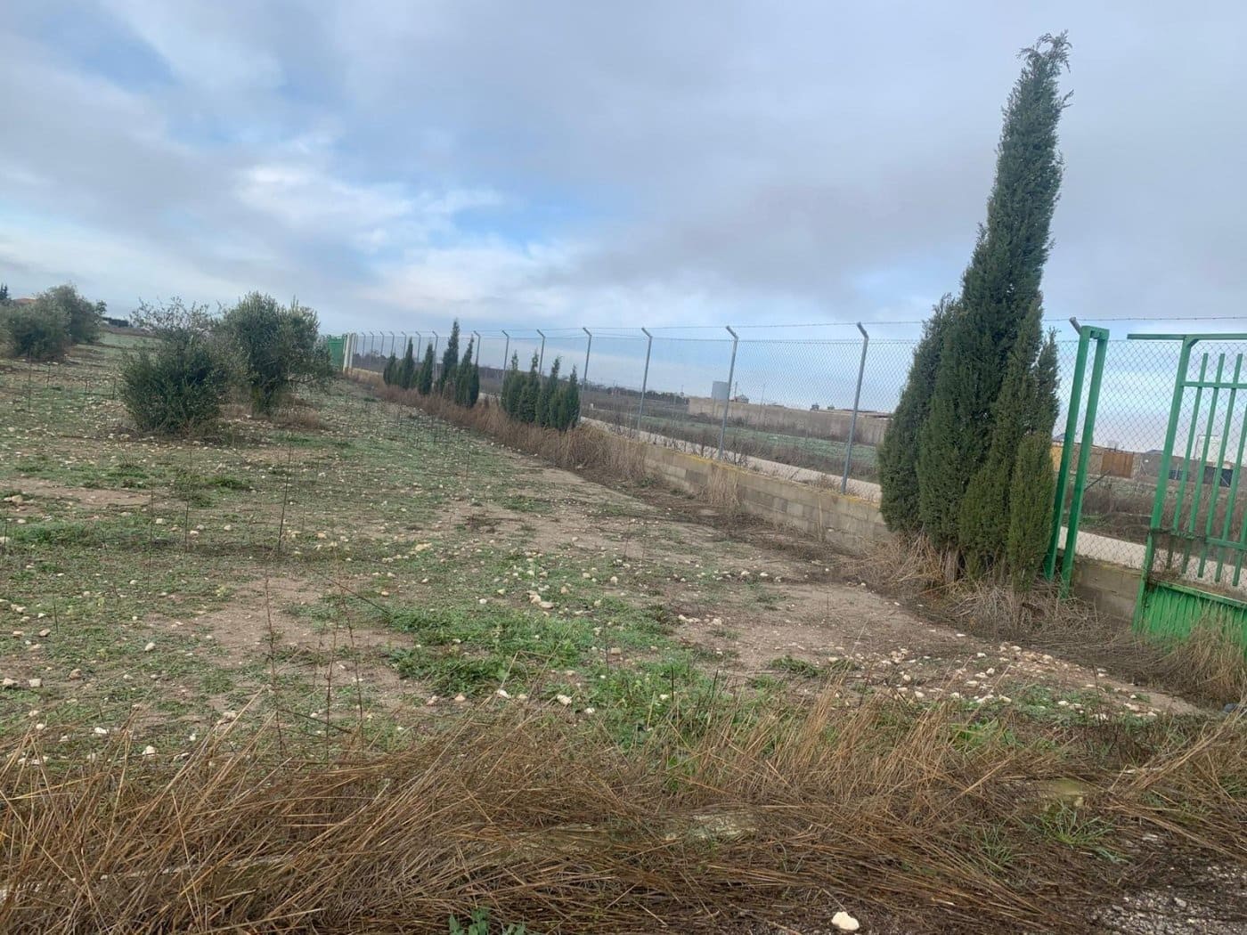 Undeveloped Land for sale in Albacete city - € 545,000 (Ref: 9723634)
