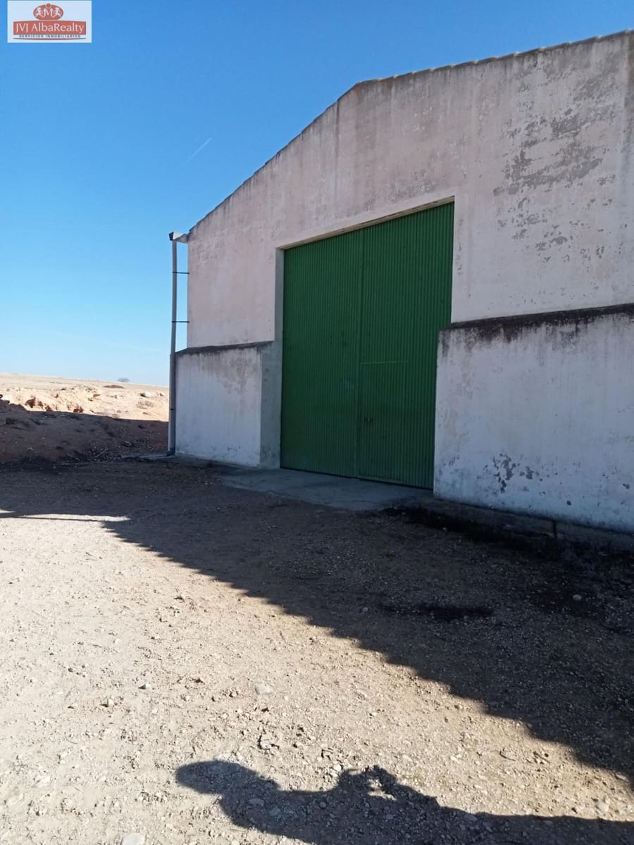 Undeveloped Land for sale in Pozo Canada - € 1,450,000 (Ref: 9723639)