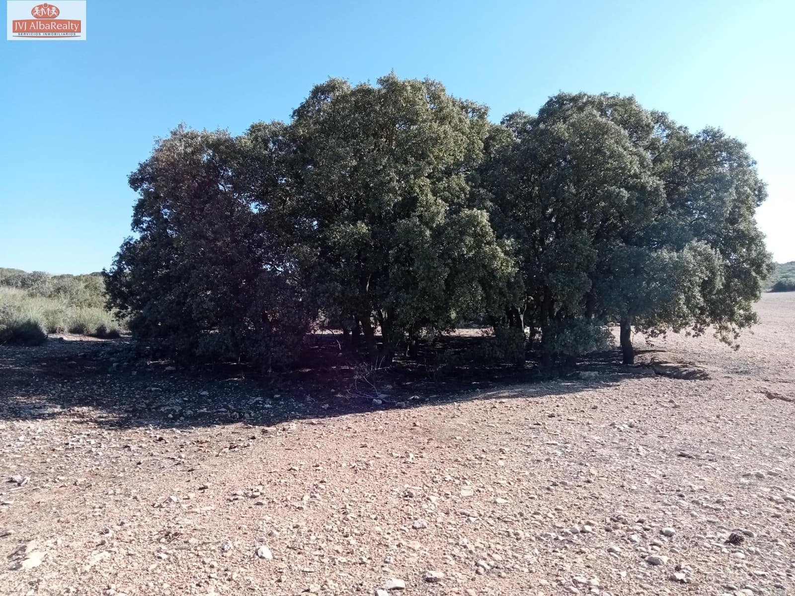 Undeveloped Land for sale in Pozo Canada - € 1,450,000 (Ref: 9723639)