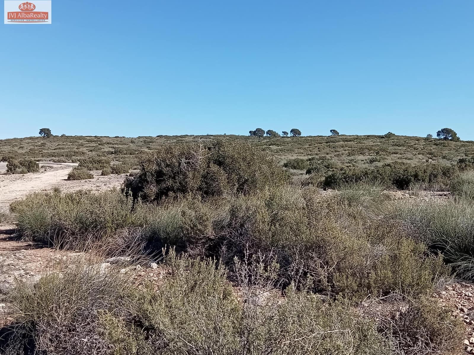 Undeveloped Land for sale in Pozo Canada - € 1,450,000 (Ref: 9723639)