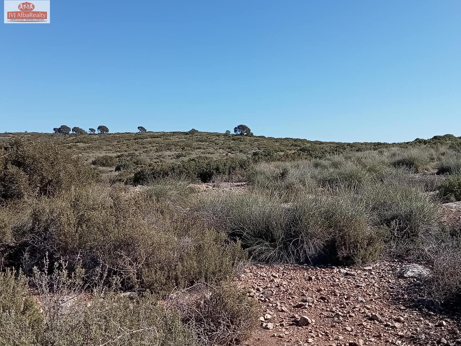 Undeveloped Land for sale in Pozo Canada - € 1,450,000 (Ref: 9723639)