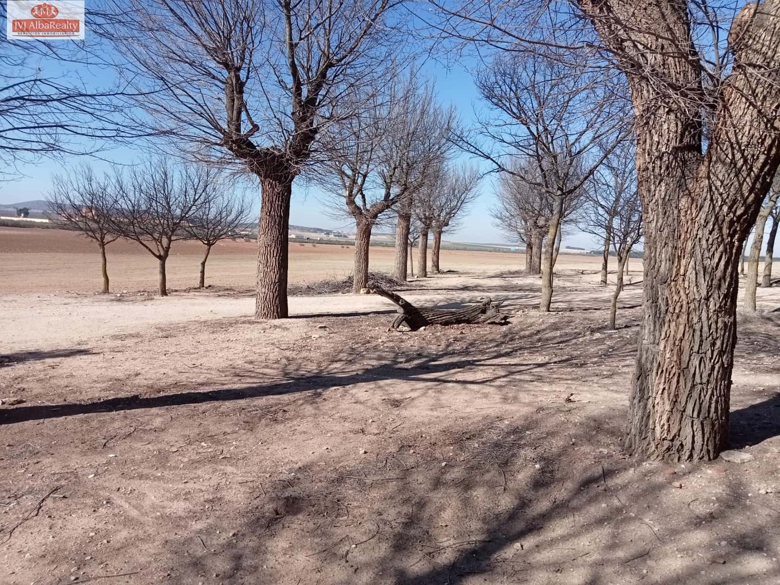 Undeveloped Land for sale in Pozo Canada - € 1,450,000 (Ref: 9723639)