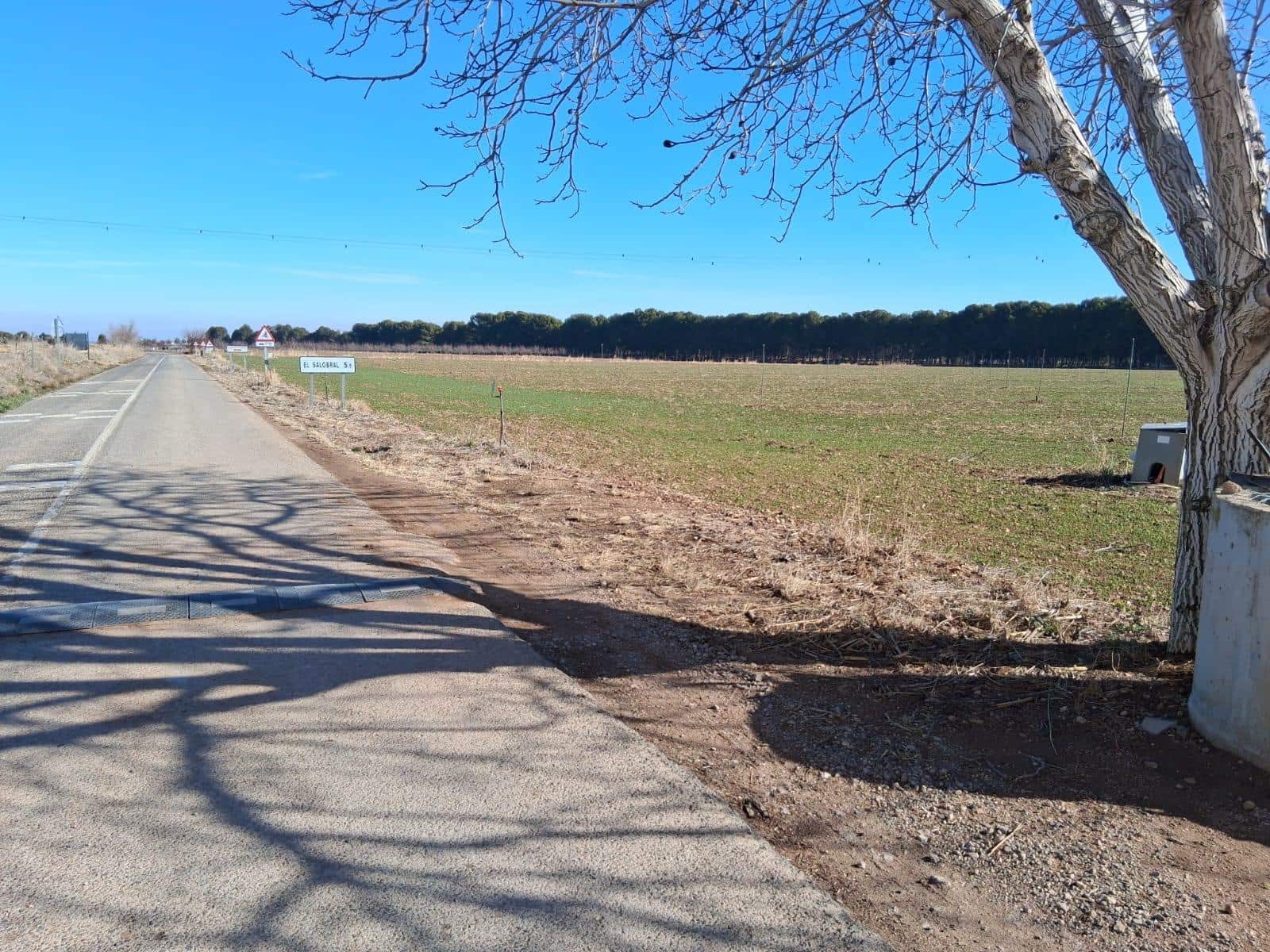 Undeveloped Land for sale in Albacete city - € 112,000 (Ref: 9723647)