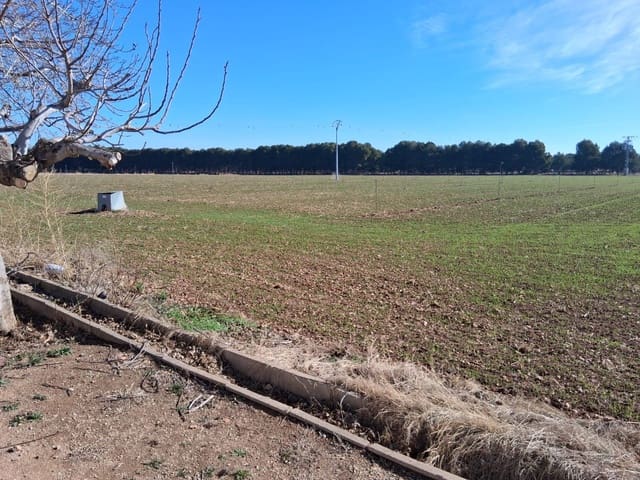 Undeveloped Land for sale in Albacete city - € 112,000 (Ref: 9723647)