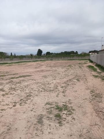 Undeveloped Land for sale in Albacete city - € 70,000 (Ref: 9723659)