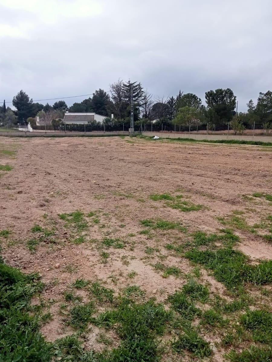 Undeveloped Land for sale in Albacete city - € 70,000 (Ref: 9723659)