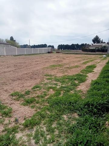 Undeveloped Land for sale in Albacete city - € 70,000 (Ref: 9723659)