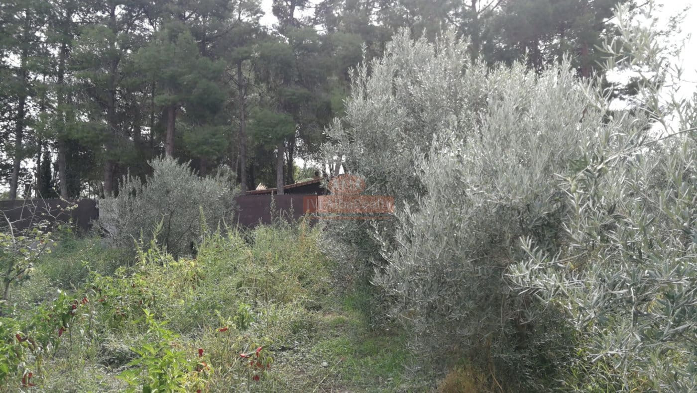 2 sypialnia Willa na sprzedaż w Miasto Albacete z garażem - 198 000 € (Ref: 9723675)