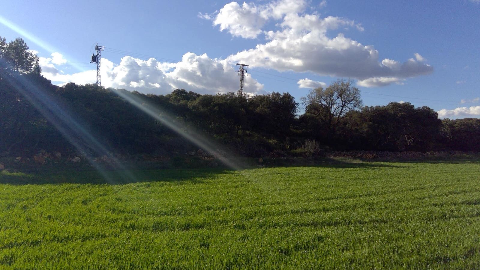 Erhverv til salg i Robledo med garage - € 1.550.000 (Ref: 9723720)