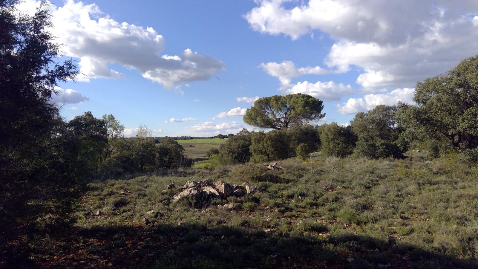 Erhverv til salg i Robledo med garage - € 1.550.000 (Ref: 9723720)