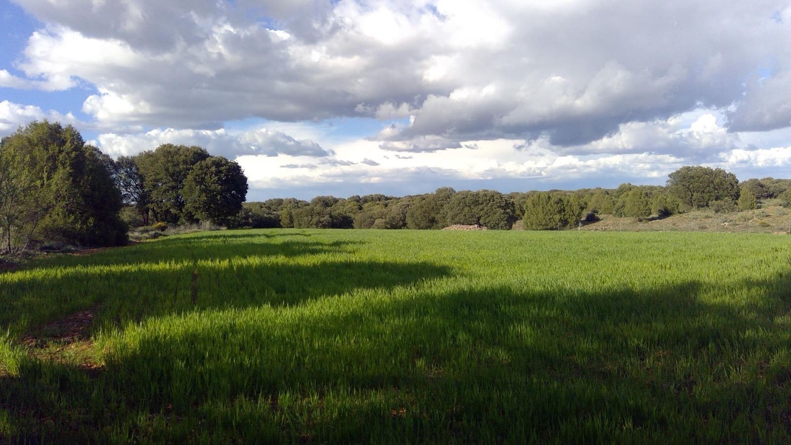 Erhverv til salg i Robledo med garage - € 1.550.000 (Ref: 9723720)