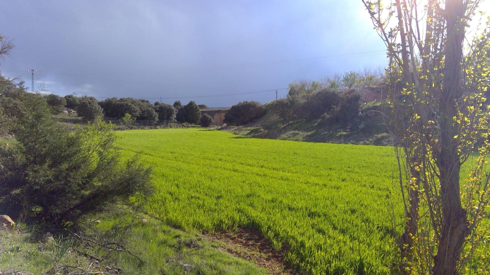 Erhverv til salg i Robledo med garage - € 1.550.000 (Ref: 9723720)