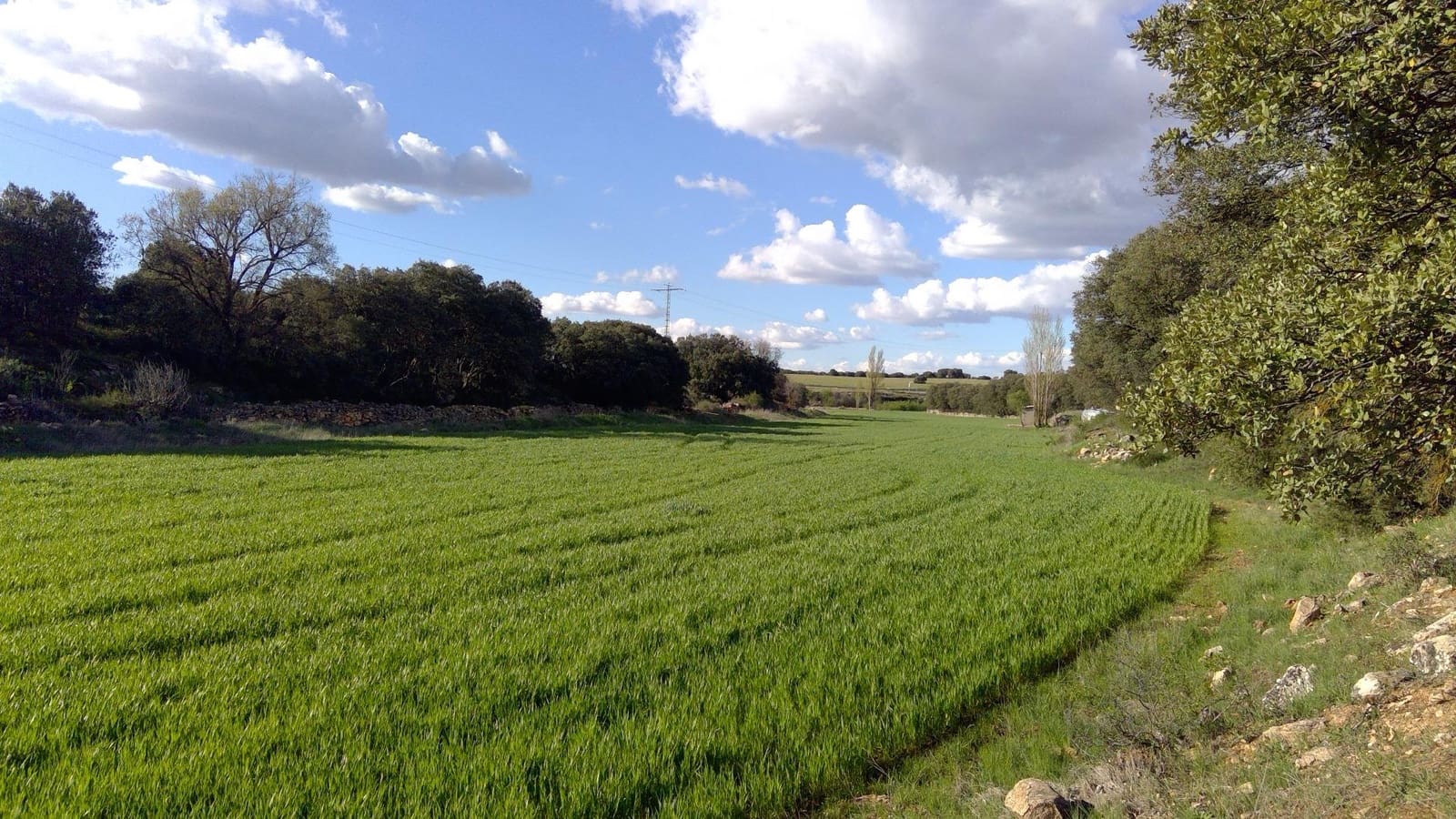 Erhverv til salg i Robledo med garage - € 1.550.000 (Ref: 9723720)