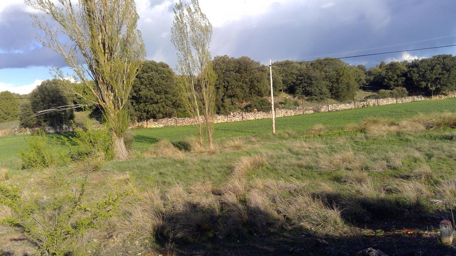 Erhverv til salg i Robledo med garage - € 1.550.000 (Ref: 9723720)