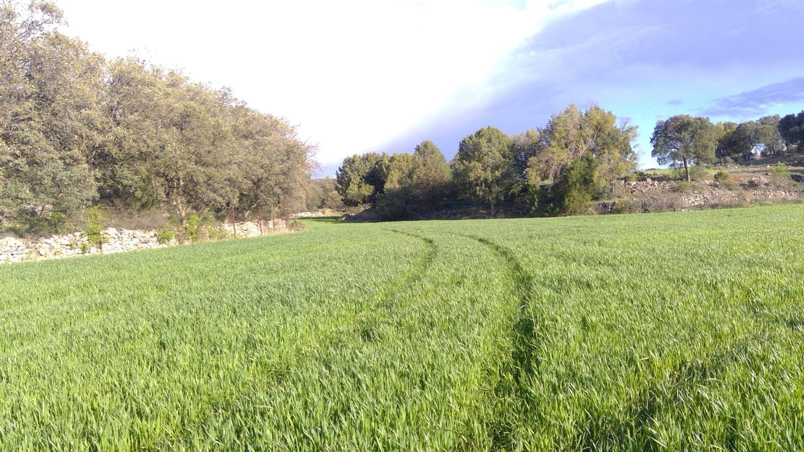 Erhverv til salg i Robledo med garage - € 1.550.000 (Ref: 9723720)