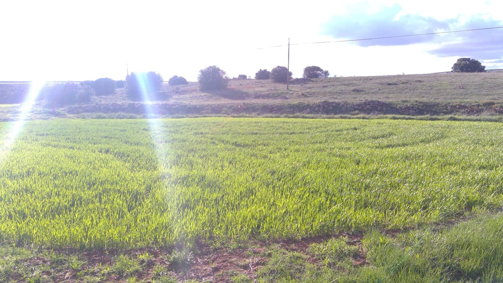 Erhverv til salg i Robledo med garage - € 1.550.000 (Ref: 9723720)