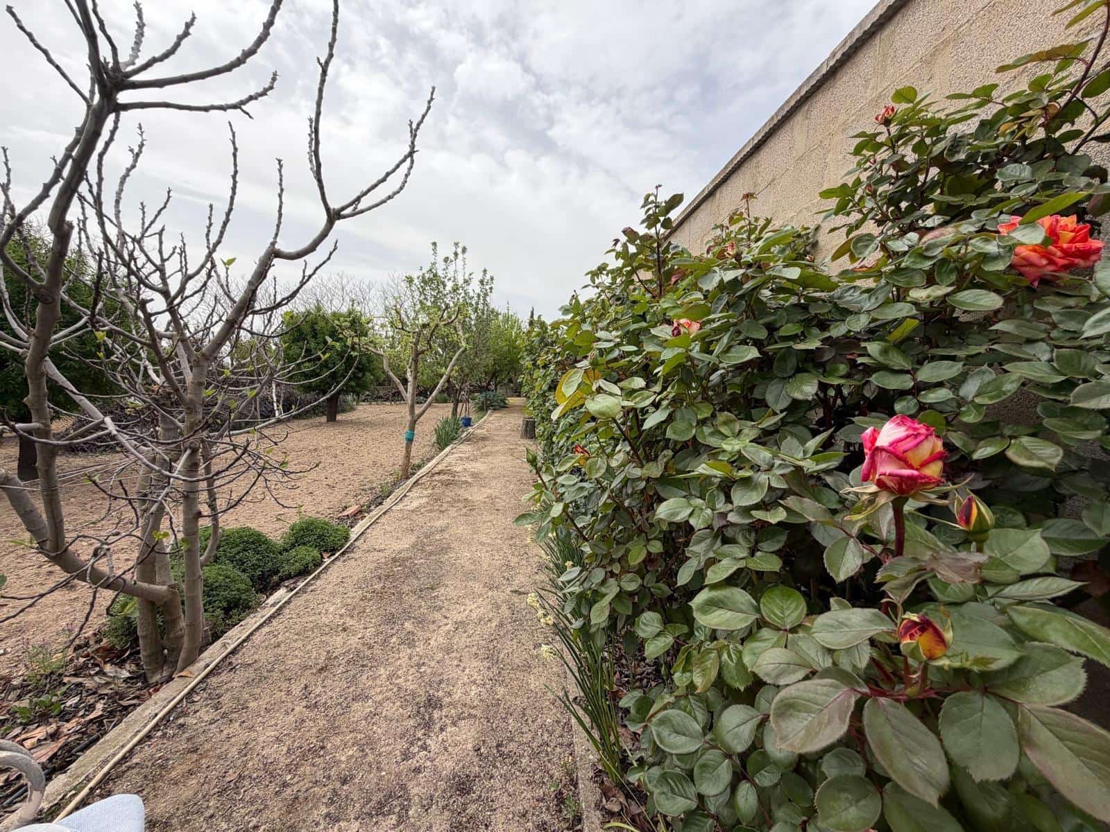 5 bedroom Villa for sale in Albacete city with pool garage - € 395,000 (Ref: 9817994)