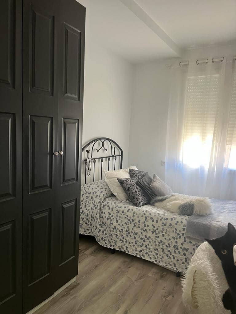 3 soveværelse Lejlighed til leje i Albacete by - € 750 (Ref: 9894003)