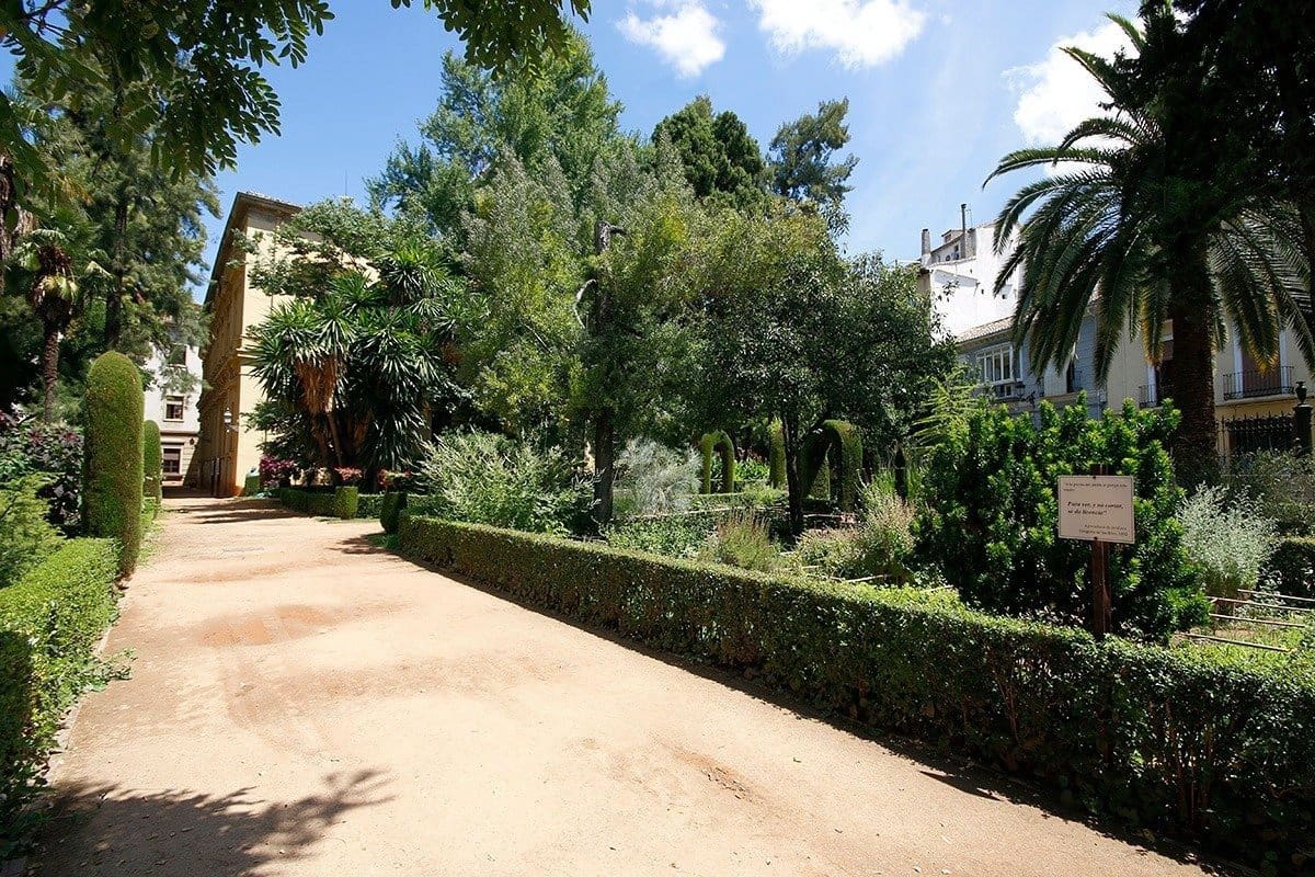 Local Commercial à vendre à Grenade ville - 195 000 € (Ref: 6552483)