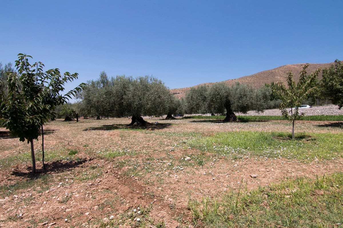 Byggegrund til salg i Guejar Sierra - € 450.000 (Ref: 6552578)