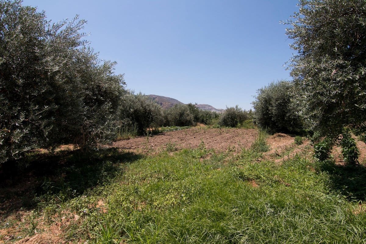 Byggegrund til salg i Guejar Sierra - € 450.000 (Ref: 6552578)