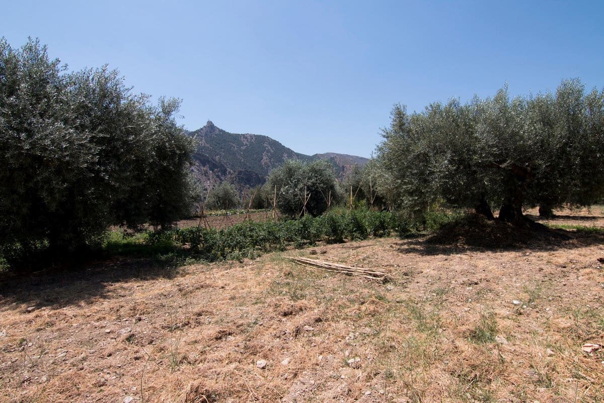 Byggegrund til salg i Guejar Sierra - € 450.000 (Ref: 6552578)