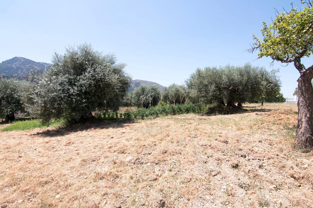 Byggegrund til salg i Guejar Sierra - € 450.000 (Ref: 6552578)