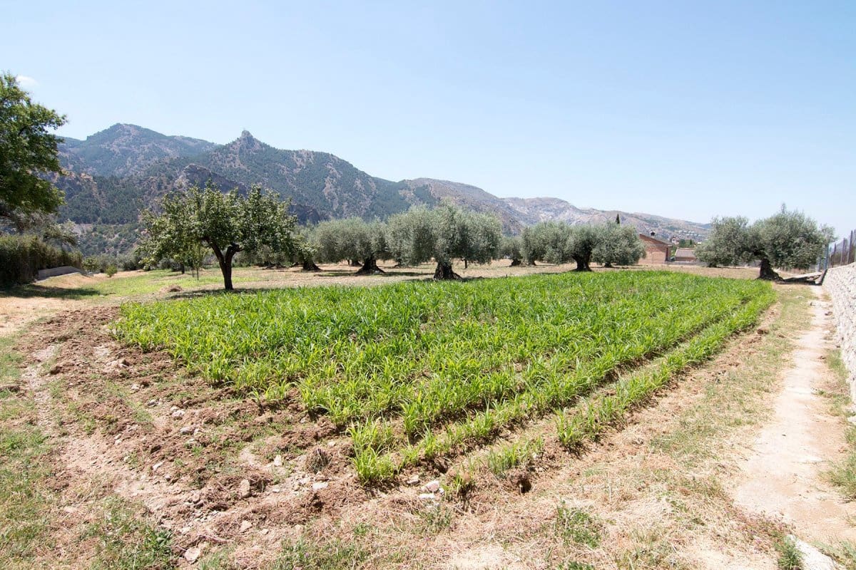 Byggegrund til salg i Guejar Sierra - € 450.000 (Ref: 6552578)