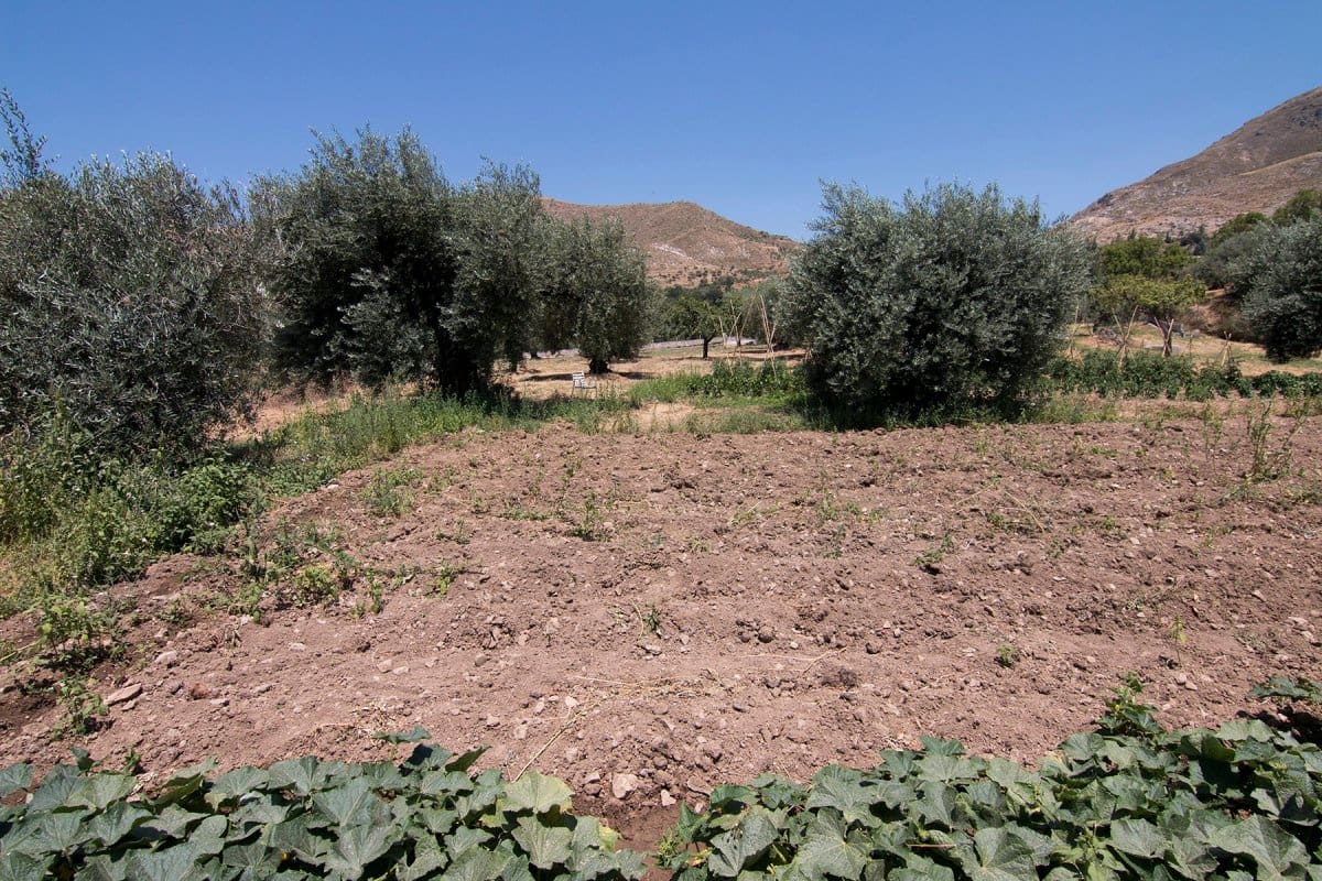 Byggegrund til salg i Guejar Sierra - € 450.000 (Ref: 6552578)