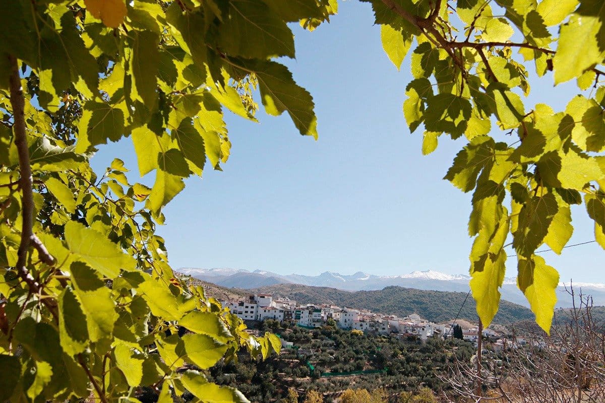 4 soveværelse Villa til salg i Huetor Santillan - € 290.000 (Ref: 6552619)