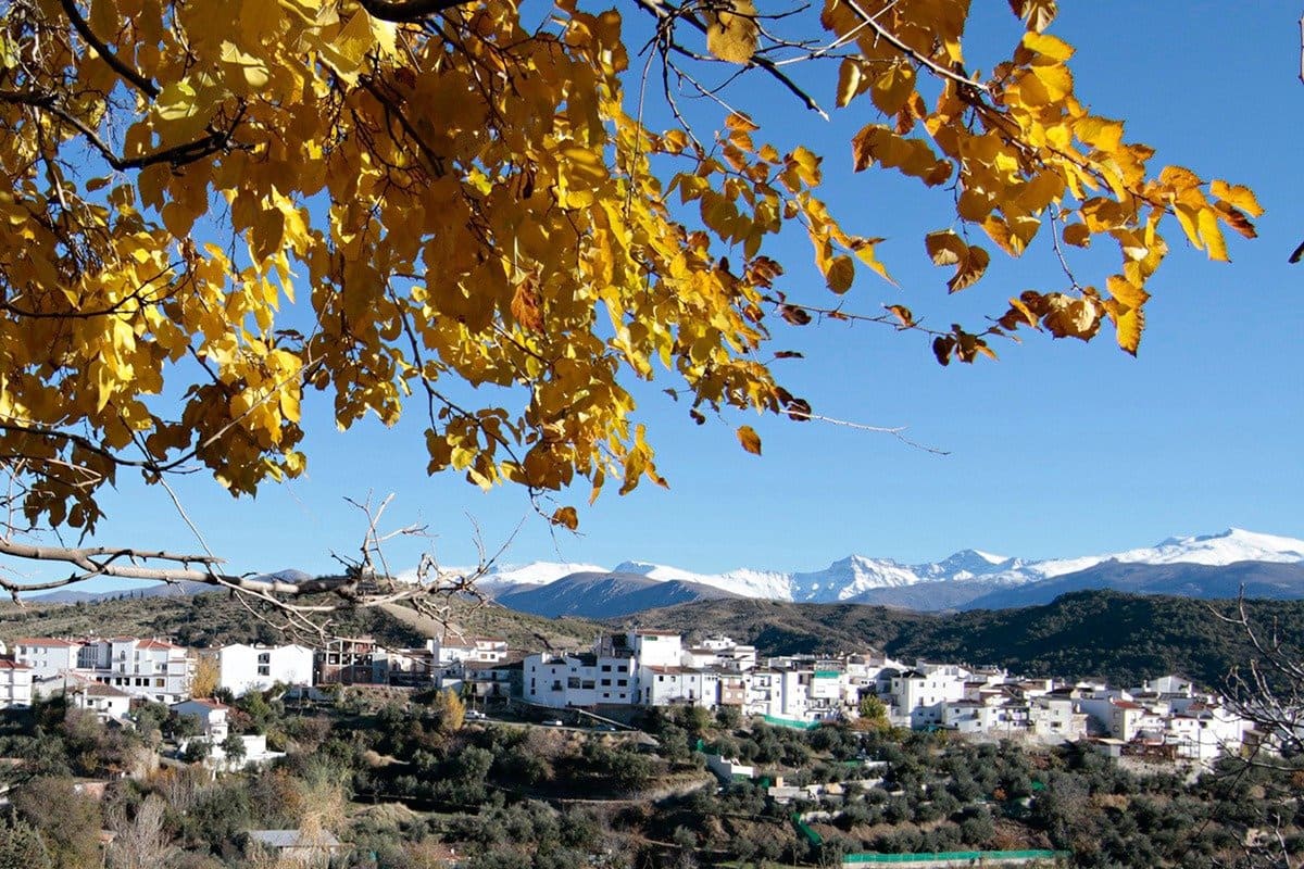 4 soveværelse Villa til salg i Huetor Santillan - € 290.000 (Ref: 6552619)